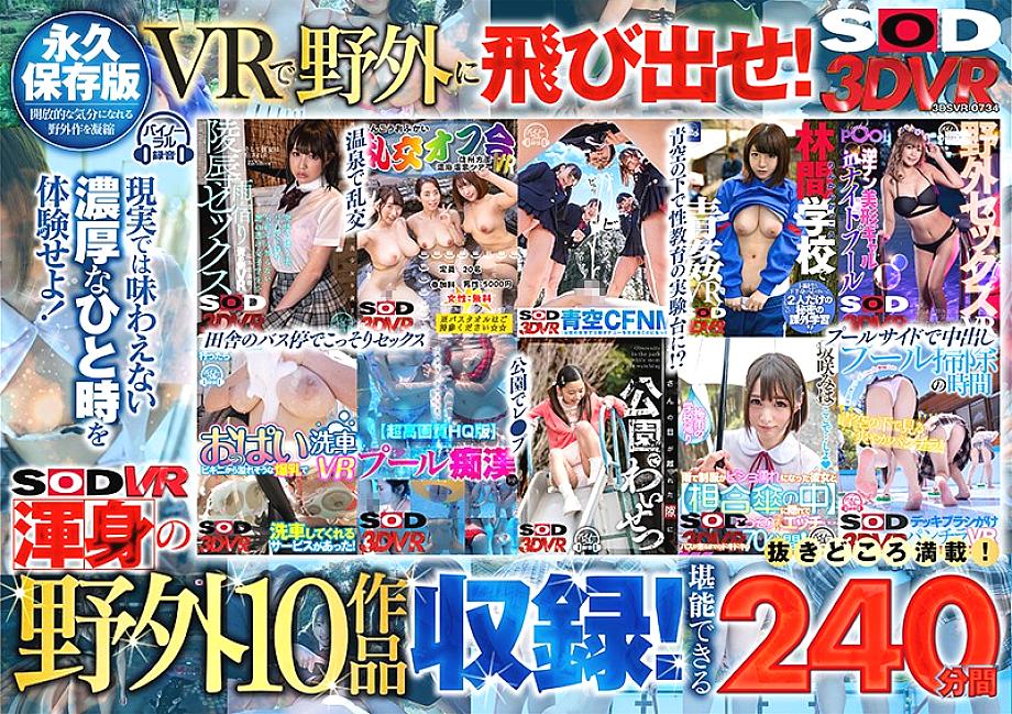 DSVR-734 日本語 DVD ジャケット 246 分