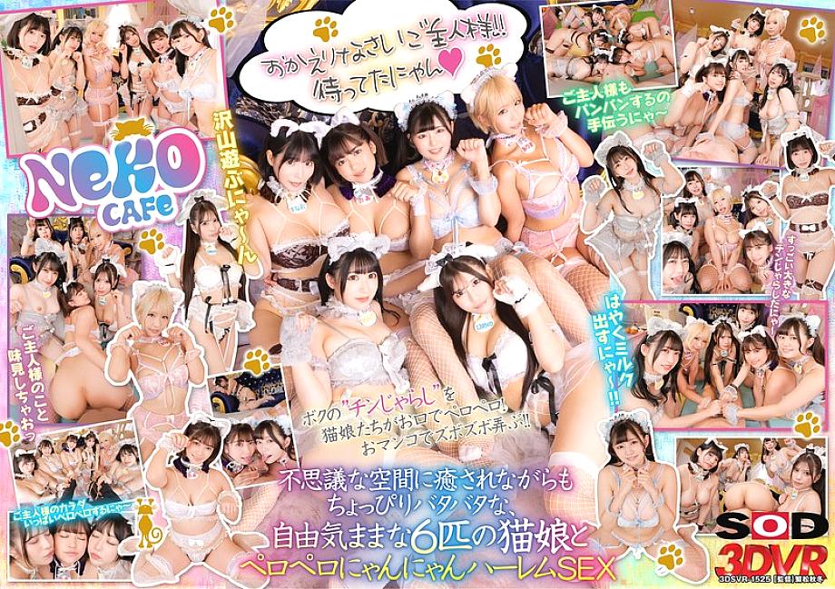 DSVR-01525 English DVD Cover 144 minutes