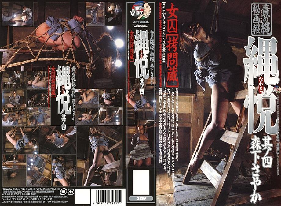 2317 English DVD Cover 70 minutes