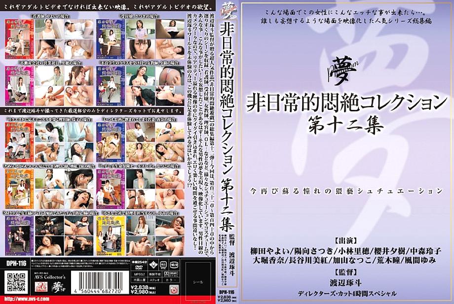 DPH-116 日本語 DVD ジャケット 257 分