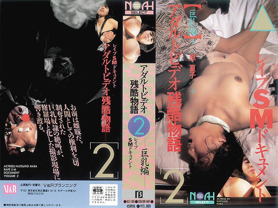 AS-130 English DVD Cover 45 minutes