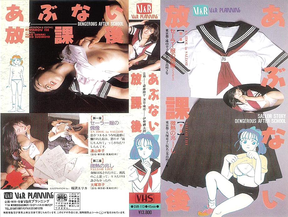 VR-113 English DVD Cover 44 minutes