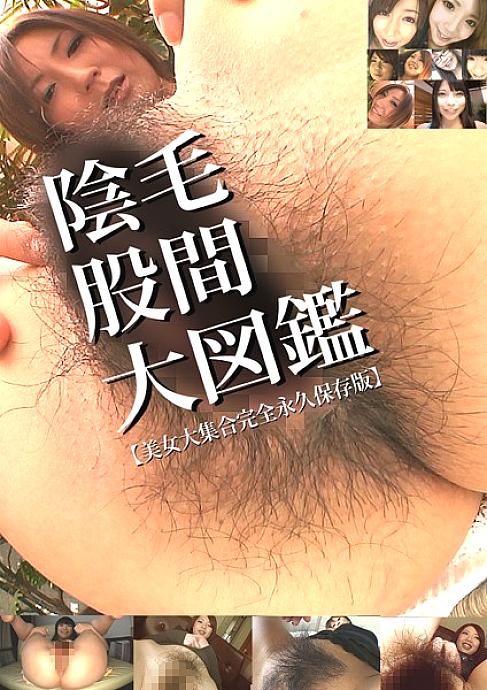 ZKID-01 中文 DVD 封面图片 90 分钟