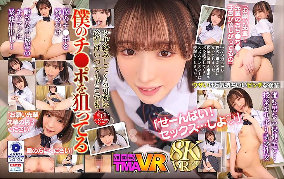 TMAVR-213 日本語 DVD ジャケット 73 分