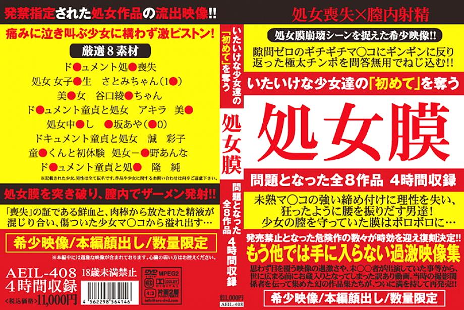 AEIL-408 日本語 DVD ジャケット 240 分