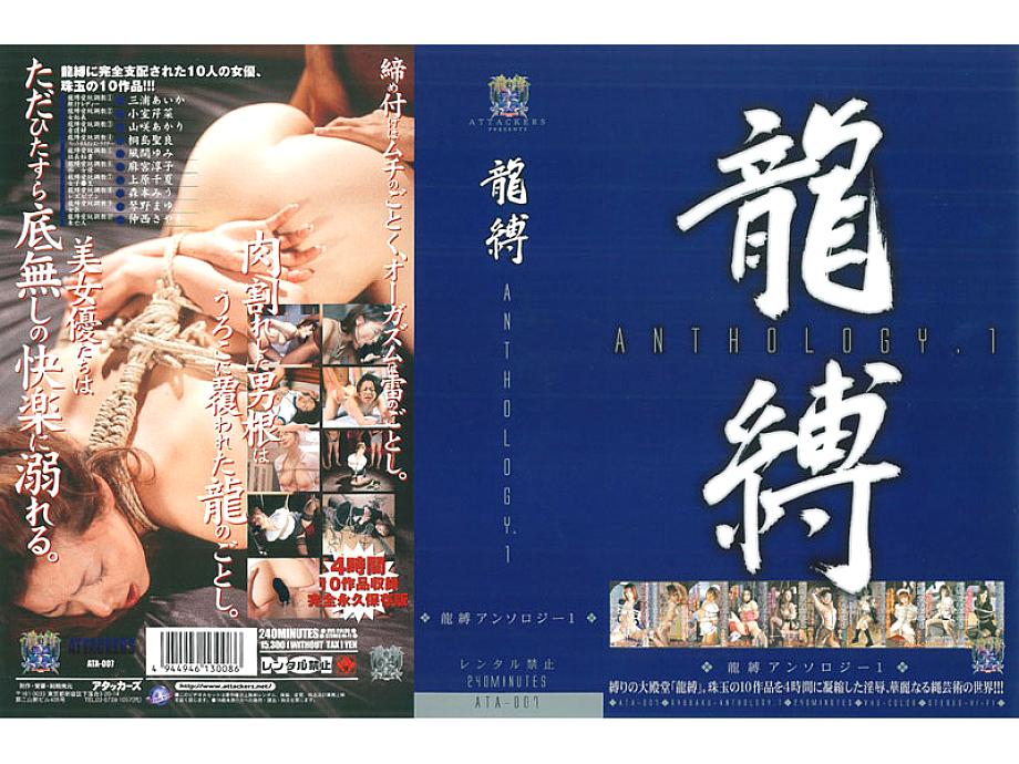 ATA-007 日本語 DVD ジャケット 243 分