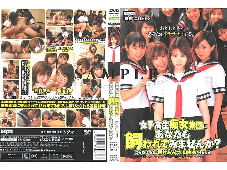 DDN036 日本語 DVD ジャケット 117 分