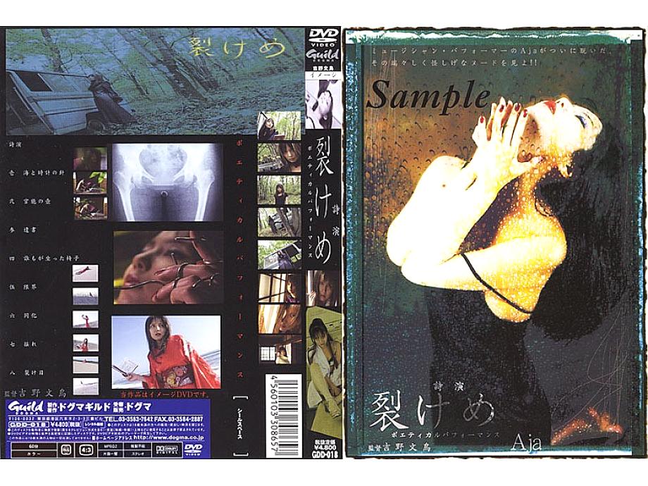 GDD018 日本語 DVD ジャケット 62 分