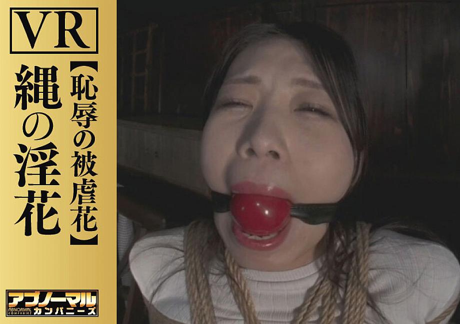 ACZVR-001 JAV Films 中文 - 00:14:00 - 00:18:00