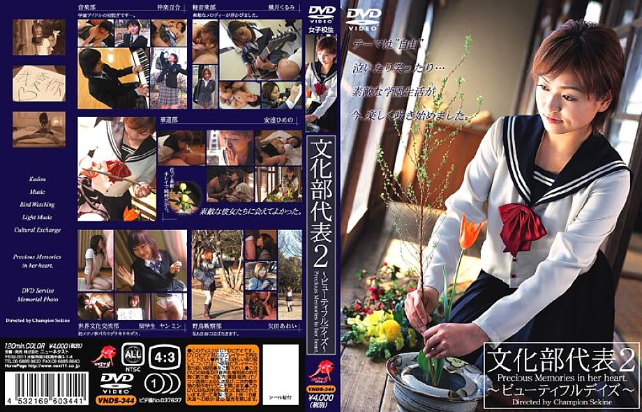 VNDS-344 日本語 DVD ジャケット 120 分