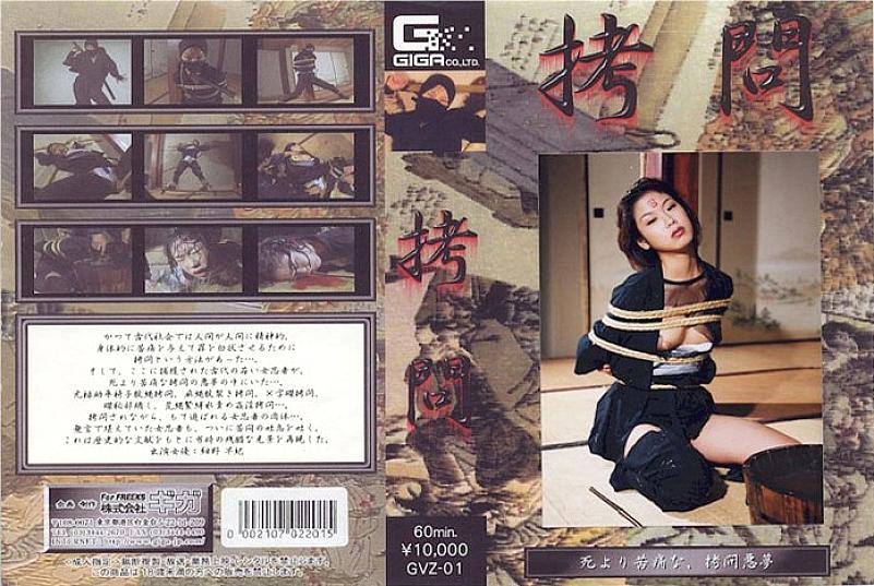 GVZ-01 中文 DVD 封面图片 61 分钟