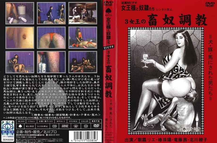 KITD-022 English DVD Cover 120 minutes