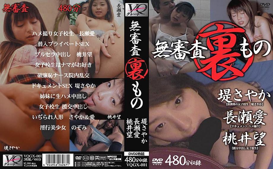 VQGX-001 日本語 DVD ジャケット 480 分