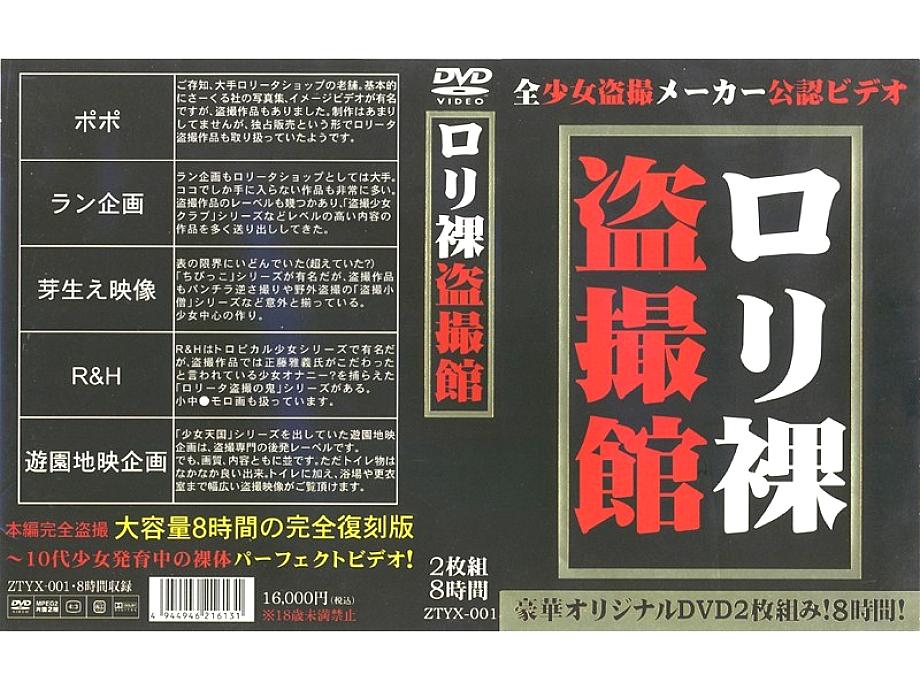 ZTYX-001 日本語 DVD ジャケット 513 分